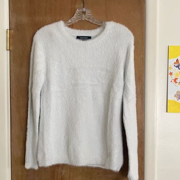 Ellen Tracy Fuzzy L/S Crew Neck Sweater - Picture 1 of 9